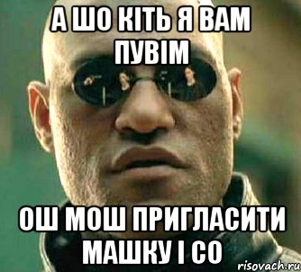 А шо кіть я вам пувім Ош мош пригласити машку і CО, Мем  а что если я скажу тебе