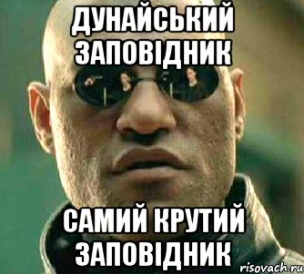 Дунайський заповідник самий крутий заповідник, Мем  а что если я скажу тебе