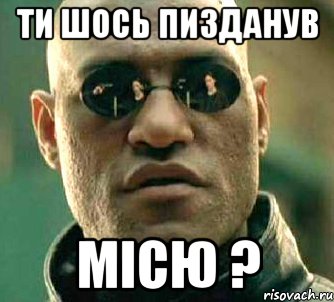 ти шось пизданув МІСЮ ?