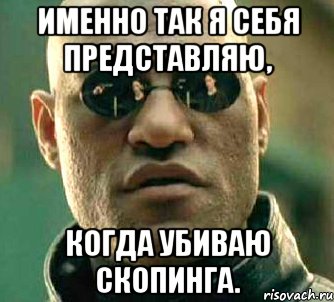 Именно так я себя представляю, Когда убиваю Скопинга., Мем  а что если я скажу тебе