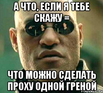 А ЧТО, ЕСЛИ Я ТЕБЕ СКАЖУ = ЧТО МОЖНО СДЕЛАТЬ ПРОХУ ОДНОЙ ГРЕНОЙ, Мем  а что если я скажу тебе