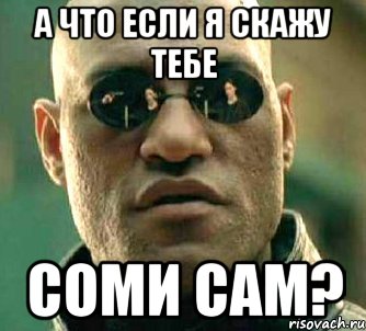 А что если я скажу тебе соми сам?, Мем  а что если я скажу тебе