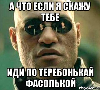 А что если я скажу тебе Иди по теребонькай фасолькой, Мем  а что если я скажу тебе