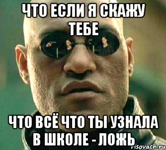 Что если я скажу тебе что всё что ты узнала в школе - ложь, Мем  а что если я скажу тебе