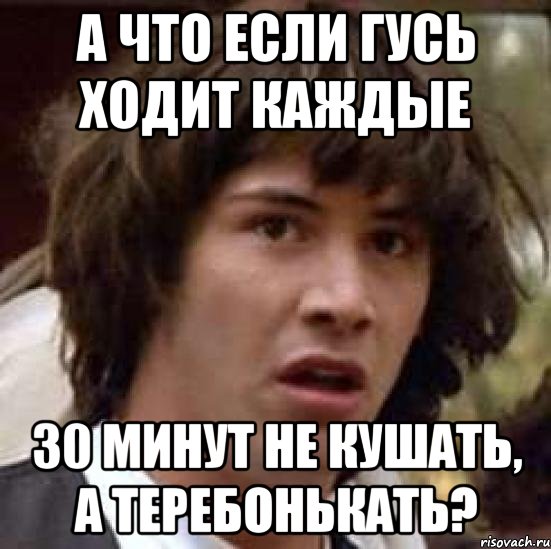 А что если Гусь ходит каждые 30 минут не кушать, а теребонькать?, Мем А что если (Киану Ривз)