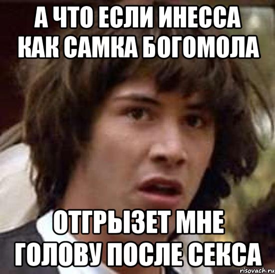 а что если инесса как самка богомола отгрызет мне голову после секса, Мем А что если (Киану Ривз)