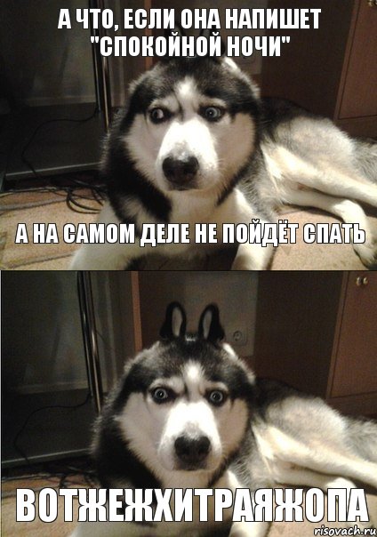 А что, если она напишет "спокойной ночи" а на самом деле не пойдёт спать вотжежхитраяжопа, Комикс а что если