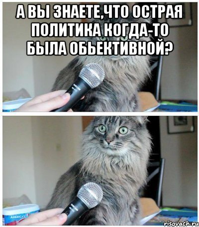 А вы знаете,что Острая политика когда-то была обьективной? , Комикс  кот с микрофоном