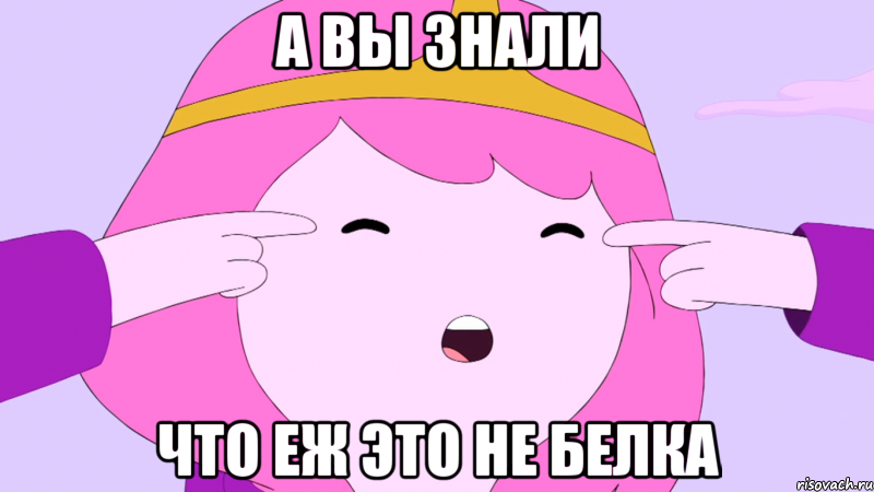 а вы знали что еж это не белка