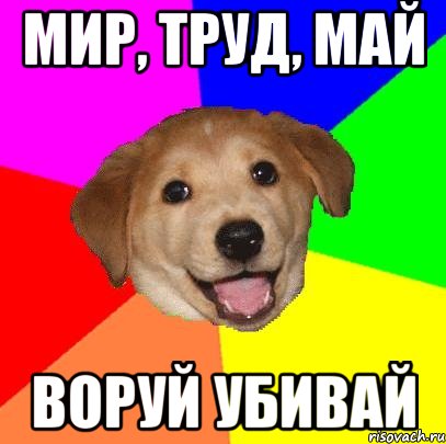 мир, труд, май воруй убивай, Мем Advice Dog