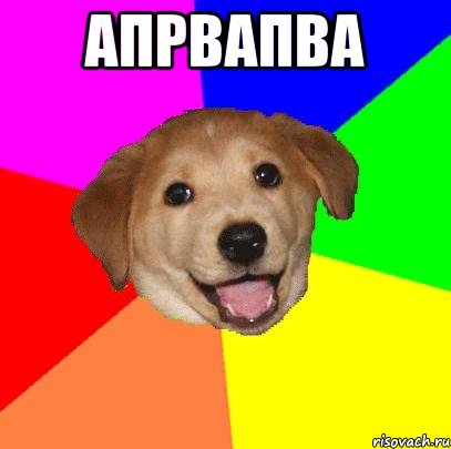 апрвапва , Мем Advice Dog