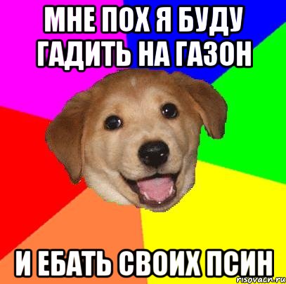 Мне пох я буду гадить на газон И ебать своих псин, Мем Advice Dog