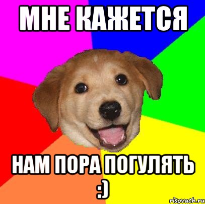 мне кажется нам пора погулять :), Мем Advice Dog