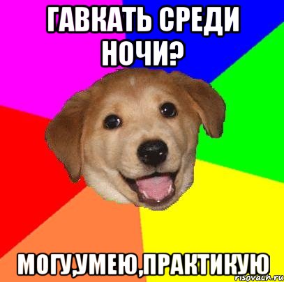 Гавкать среди ночи? Могу,умею,практикую, Мем Advice Dog