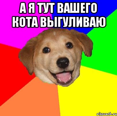 А я тут вашего кота выгуливаю , Мем Advice Dog