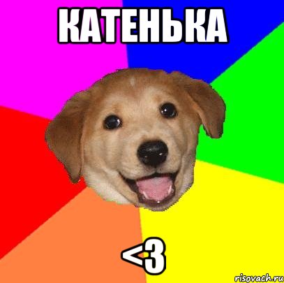 Катенька <3, Мем Advice Dog