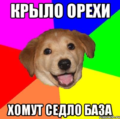 КРЫЛО ОРЕХИ ХОМУТ СЕДЛО БАЗА, Мем Advice Dog