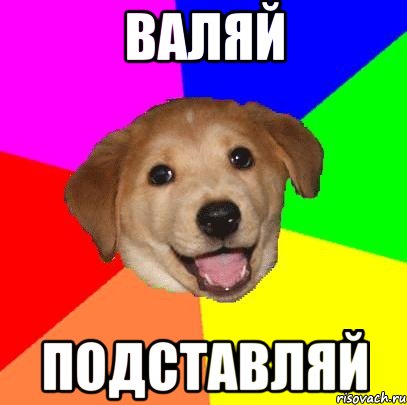 ВАЛЯЙ ПОДСТАВЛЯЙ, Мем Advice Dog