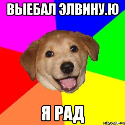 Выебал элвину.ю Я рад, Мем Advice Dog