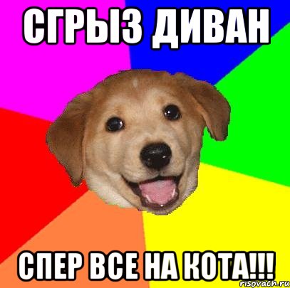 СГРЫЗ ДИВАН СПЕР ВСЕ НА КОТА!!!, Мем Advice Dog