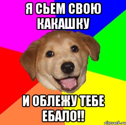 Я сьем свою какашку и облежу тебе ебало!!, Мем Advice Dog