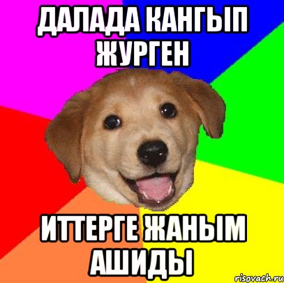 Далада кангып журген иттерге жаным ашиды, Мем Advice Dog