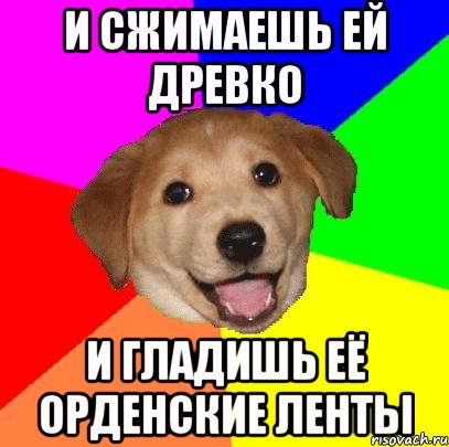 И сжимаешь ей древко И гладишь её орденские ленты, Мем Advice Dog