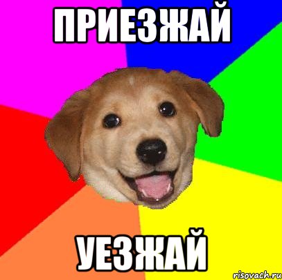 Приезжай Уезжай, Мем Advice Dog