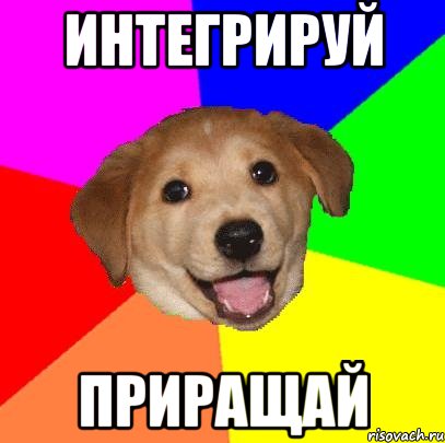 ИНТЕГРИРУЙ ПРИРАЩАЙ, Мем Advice Dog