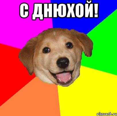 С днюхой! , Мем Advice Dog