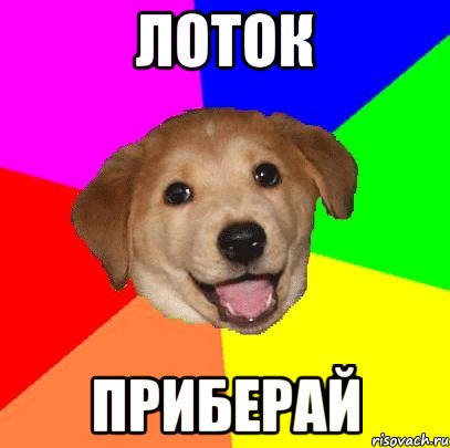 Лоток Приберай, Мем Advice Dog