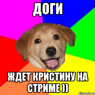 Доги Ждет Кристину на стриме )), Мем Advice Dog