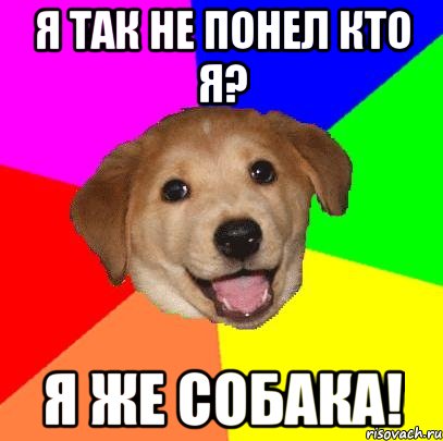 Я так не понел кто я? Я же собака!, Мем Advice Dog