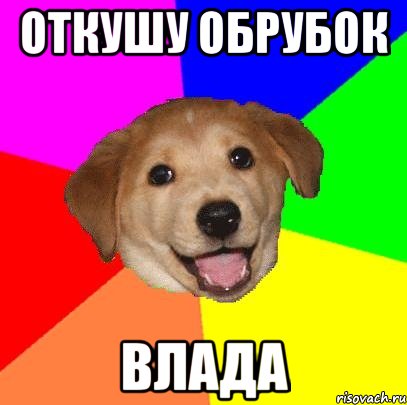 Откушу Обрубок Влада, Мем Advice Dog