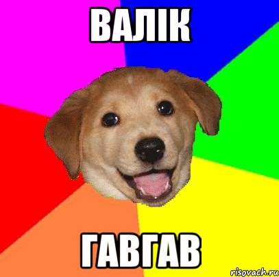 Валік ГАВГАВ, Мем Advice Dog