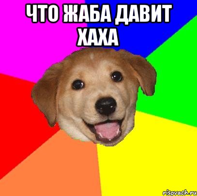 Что жаба давит хаха , Мем Advice Dog