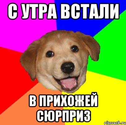 С утра встали В прихожей сюрприз, Мем Advice Dog