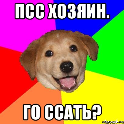 псс хозяин. Го ссать?, Мем Advice Dog