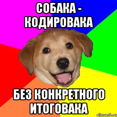 Собака - кодировака Без конкретного итоговака, Мем Advice Dog