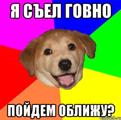 Я СЪЕЛ ГОВНО ПОЙДЕМ ОБЛИЖУ?, Мем Advice Dog