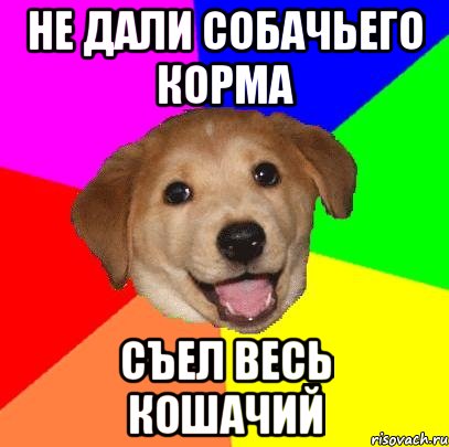 Не дали собачьего корма Съел весь кошачий, Мем Advice Dog