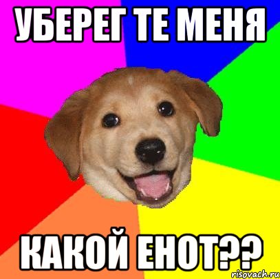 Уберег те меня КАкой Енот??, Мем Advice Dog