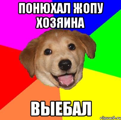 Понюхал жопу хозяина Выебал, Мем Advice Dog