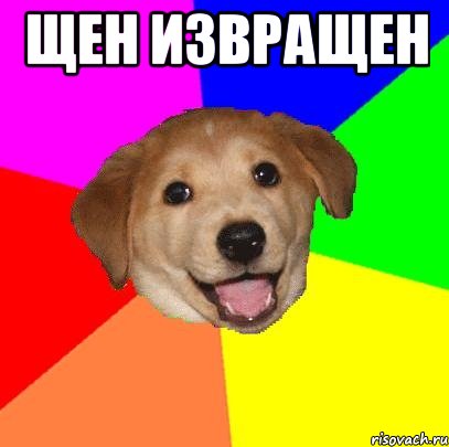 Щен извращен , Мем Advice Dog