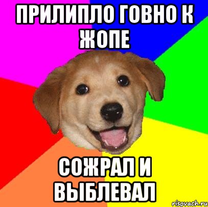 прилипло говно к жопе сожрал и выблевал, Мем Advice Dog