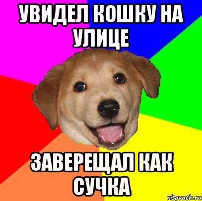 увидел кошку на улице заверещал как сучка, Мем Advice Dog