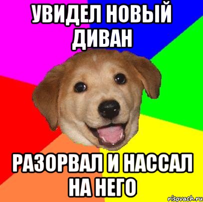 увидел новый диван разорвал и нассал на него, Мем Advice Dog