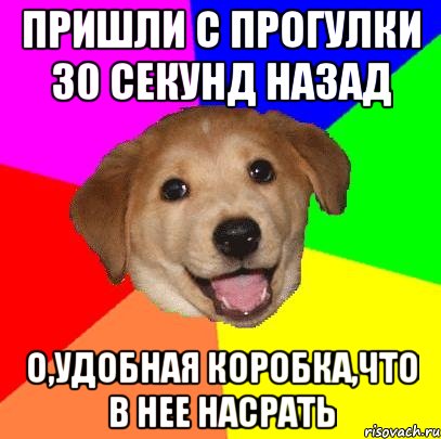 пришли с прогулки 30 секунд назад о,удобная коробка,что в нее насрать, Мем Advice Dog