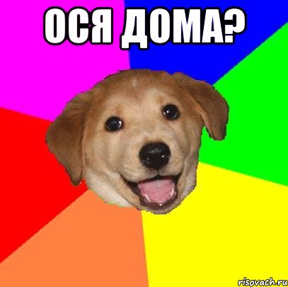 Ося дома? , Мем Advice Dog