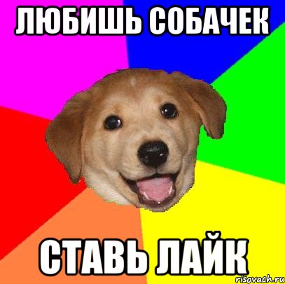 Любишь собачек ставь лайк, Мем Advice Dog